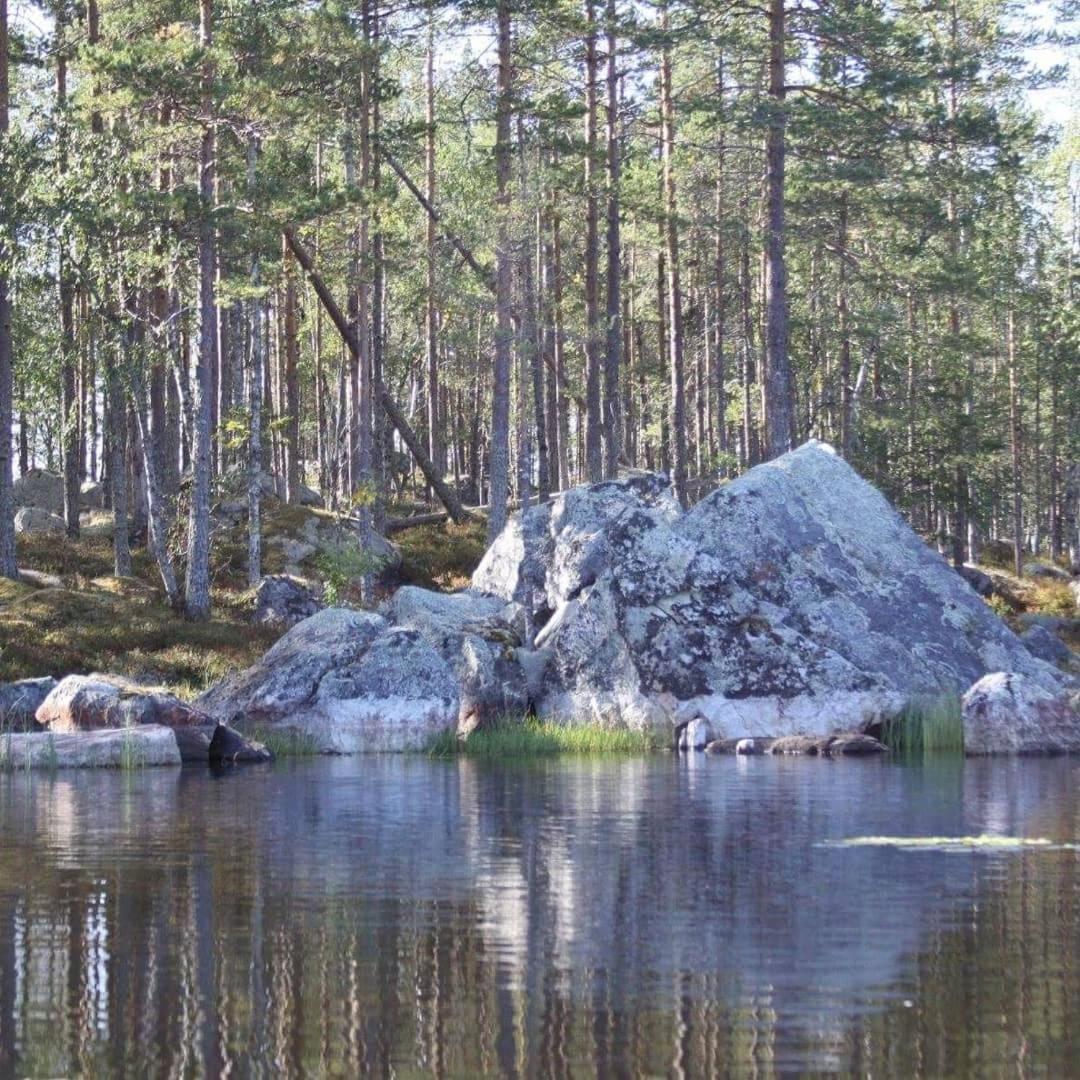 Hamra Stugby - Nature Adventures Hamra Εξωτερικό φωτογραφία